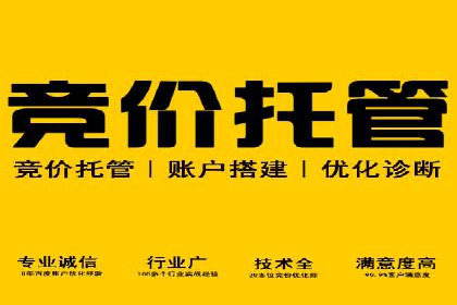 百度推广代运营案例：行业领先企业的成功之道